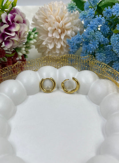 Vedika Gold Plated Earing