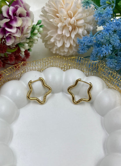 Tara Gold Plated Earing