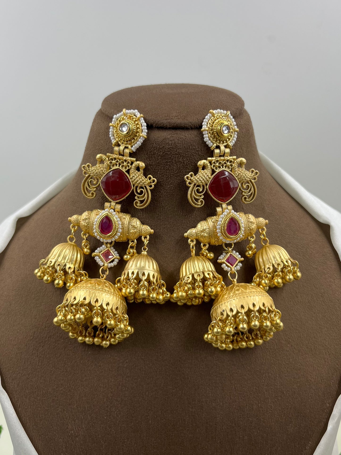 Aarika Kashmiri Earning