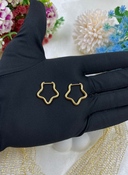 Tara Gold Plated Earing