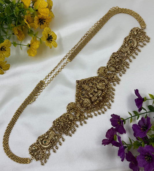 Kakoli South Indian Kamarpatta