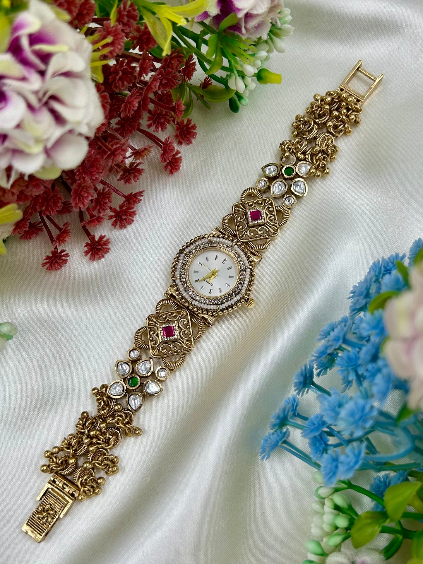 Drushti Heritage Watch