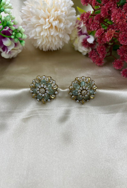 Vastra Premium Ad Earing