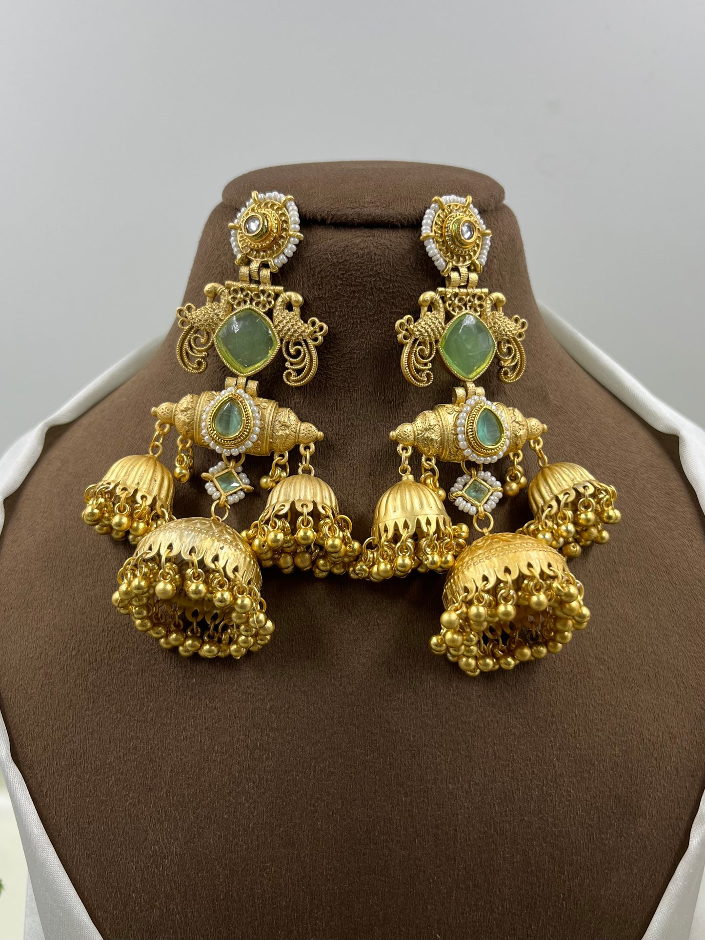 Aarika Kashmiri Earning