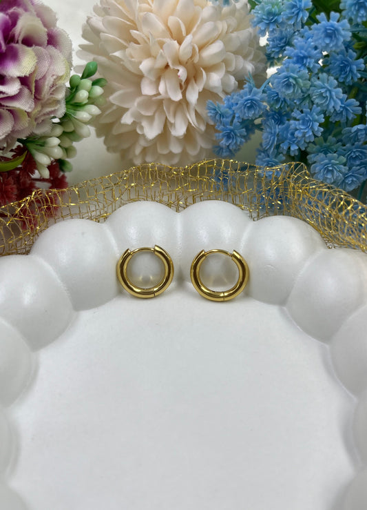 Vedika Gold Plated Earing