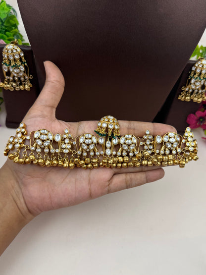 Vasudha Moissanite Polki Choker Necklace Set