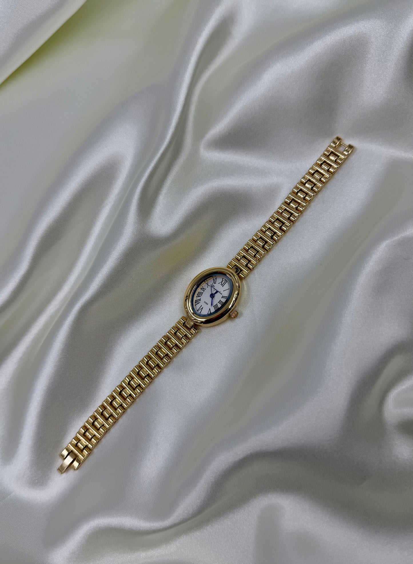 Roma Gold Stainless Steel Watch (Adjustable)