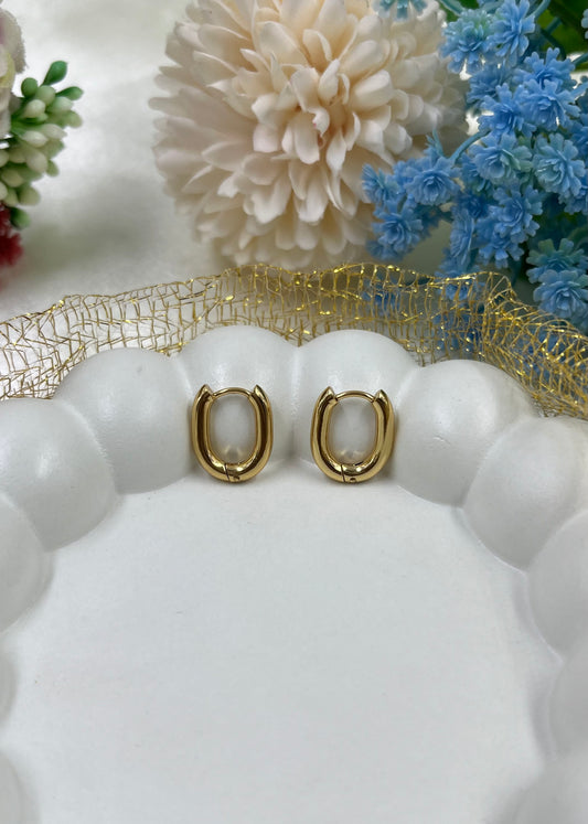 Tiara Gold Plated Earing