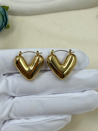 Zaria Anti-Tarnish Stainless Steel Earing
