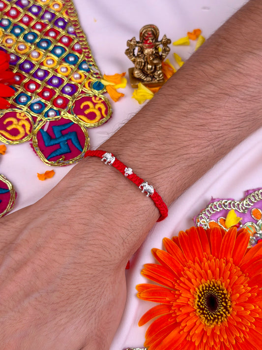 Royal Safari Silver Rakhi