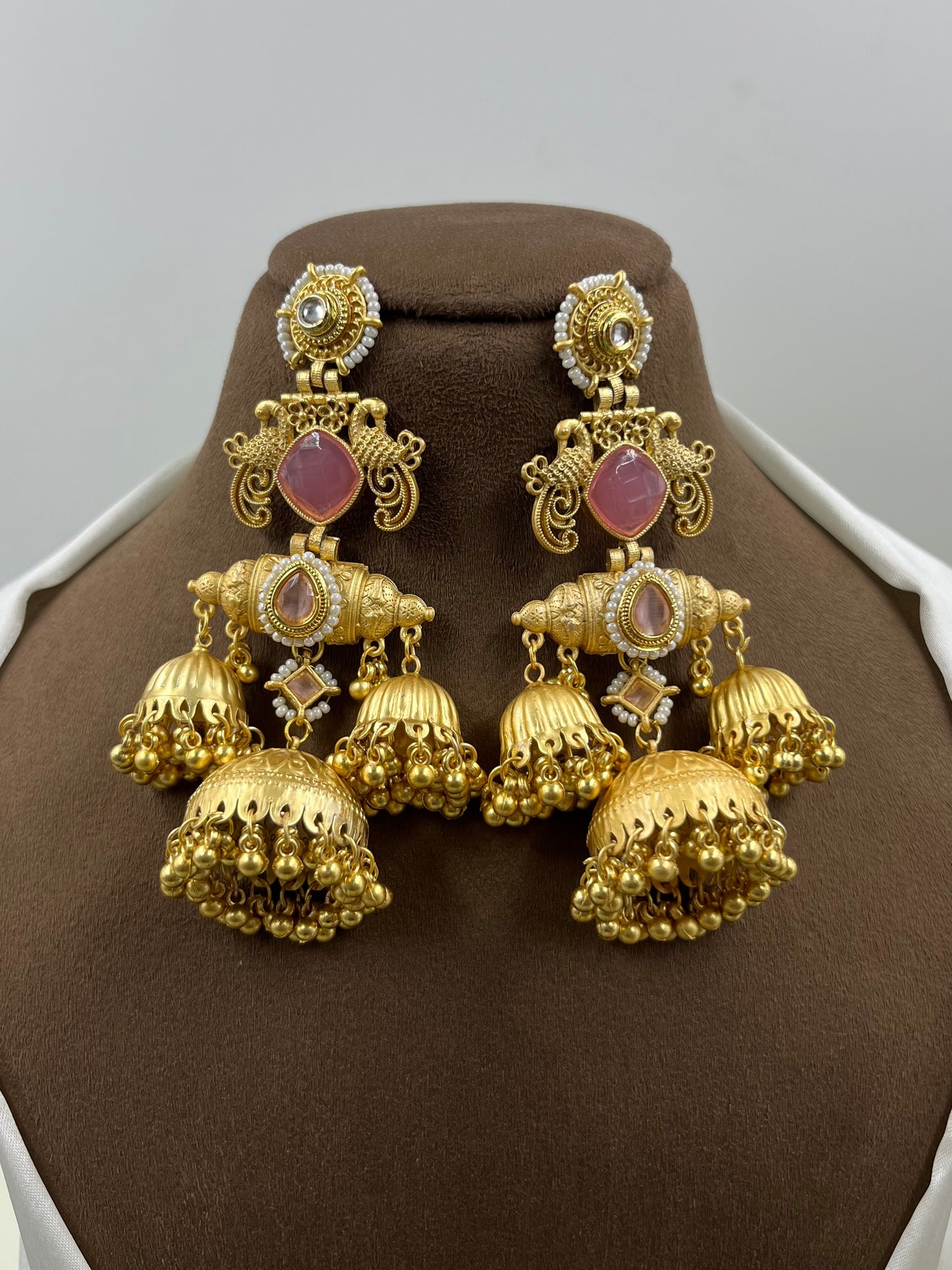 Aarika Kashmiri Earning