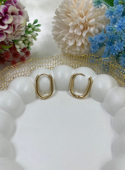 Dianna Gold Plated Earing