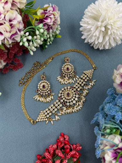 Pranita Traditional Choker Necklace