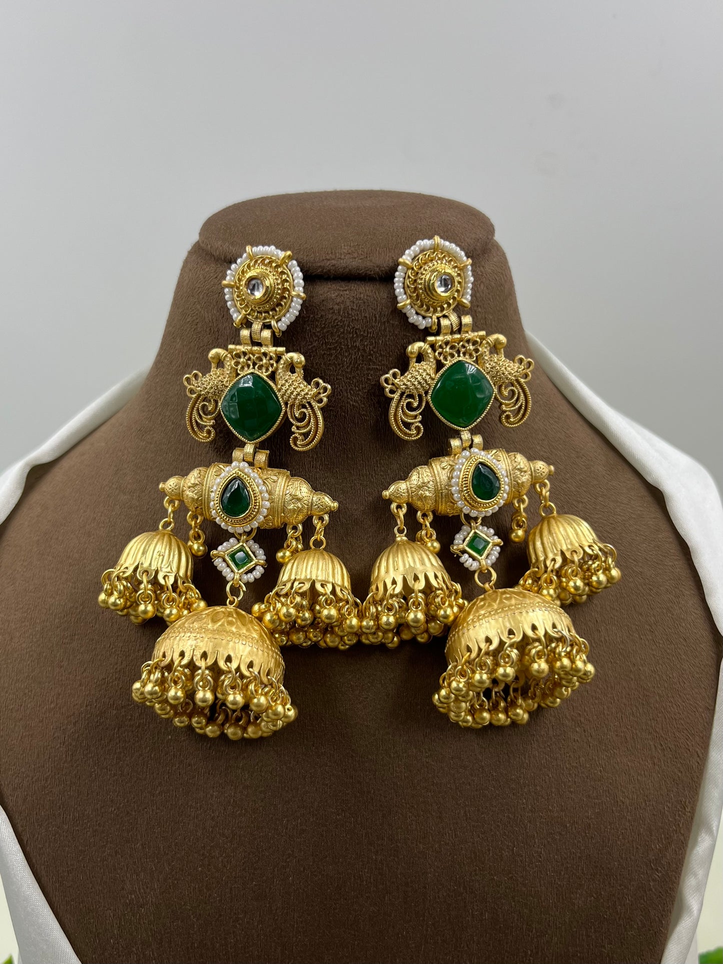 Aarika Kashmiri Earning