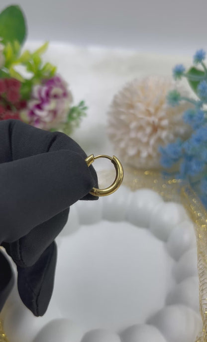 Vedika Gold Plated Earing