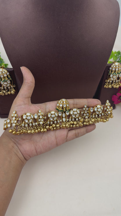 Vasudha Moissanite Polki Choker Necklace Set
