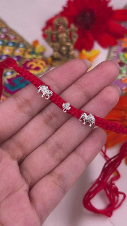 Royal Safari Silver Rakhi