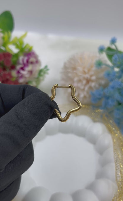 Tara Gold Plated Earing