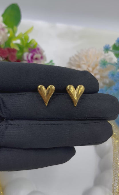 Srishti Gold Plated Earing