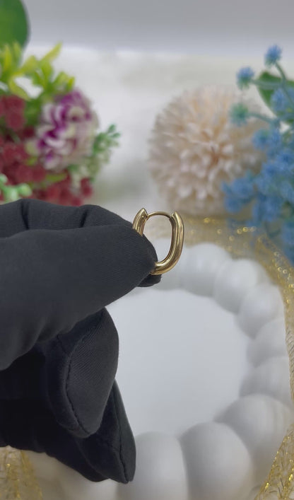 Tiara Gold Plated Earing