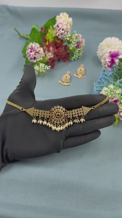 Pranita Traditional Choker Necklace