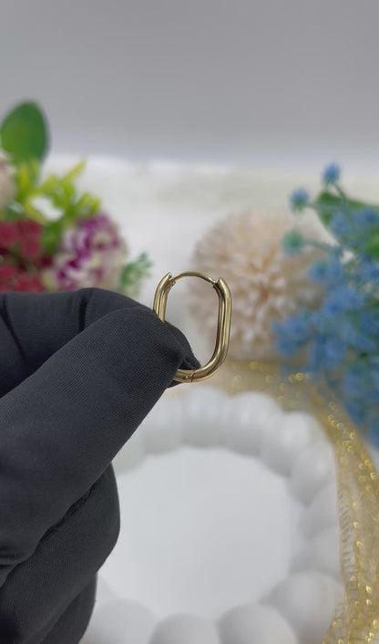 Dianna Gold Plated Earing