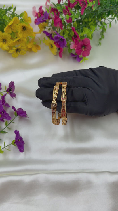 Bhanu Golden Bangles