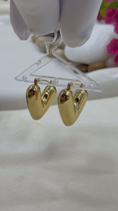Zaria Anti-Tarnish Stainless Steel Earing